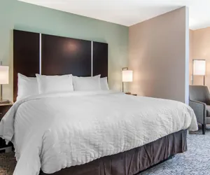 Photo 4 - Clarion Inn & Suites Atlanta Downtown