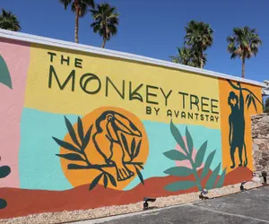 Photo 2 - The Monkey Tree by AvantStay – Mid-Century Modern Oasis with Pool