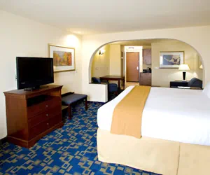 Photo 4 - Holiday Inn Express Jourdanton - Pleasanton by IHG