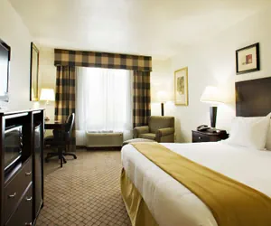 Photo 3 - Holiday Inn Express & Suites Childress by IHG