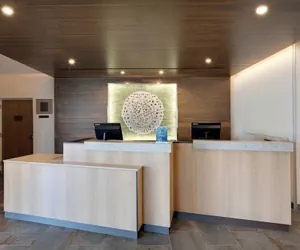 Photo 3 - Fairfield Inn & Suites by Marriott Tampa Wesley Chapel