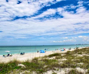 Photo 4 - Pass a grille Gulf Way Beachfront 19