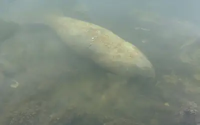 Coconut Cove Resort and Marina