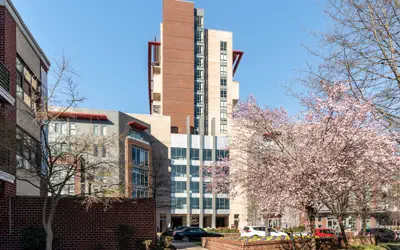 Kasa Alexandria Washington