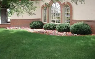 Chateau Hotel and Conference Center