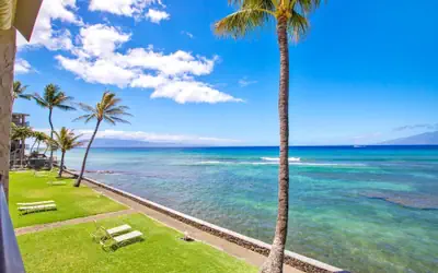 Lokelani LOK-B203 by KBM