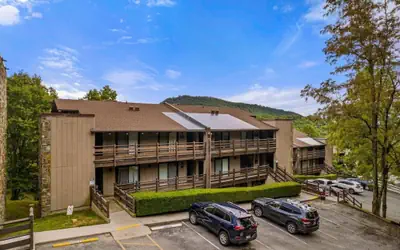 Bearadise Mountain Getaway