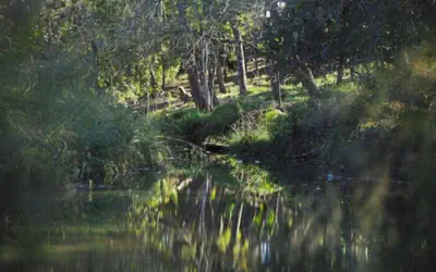 Onera Fredericksburg