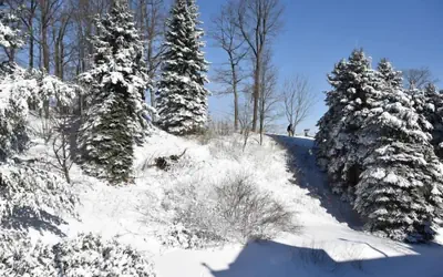 Seven Springs Stoneridge 3 BR Condo, Private Deck by RedAwning