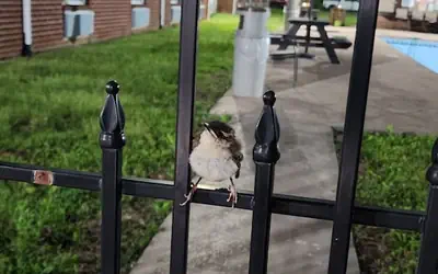 Quality Inn Dublin I-81