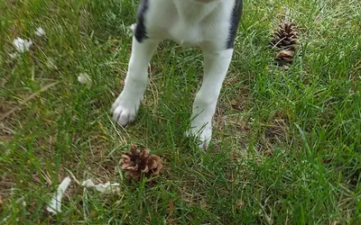 Baymont by Wyndham Coeur D Alene