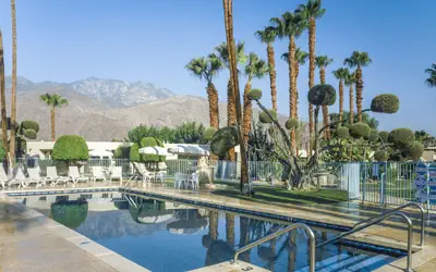 Desert Isle of Palm Springs