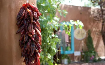 Courtyard by Marriott Albuquerque Airport