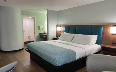 Wingate by Wyndham Macon West I-475