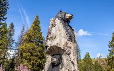 Comfort Inn Mount Shasta Area