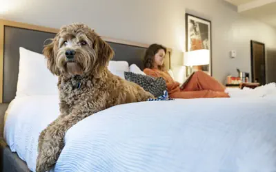 Hotel Saint Clair- Magnificent Mile