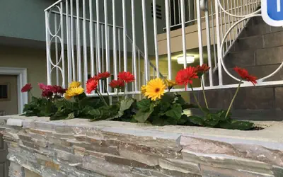 Little Inn By The Bay Newport Beach