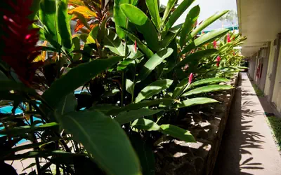 Pacific Marina Inn Airport Hotel