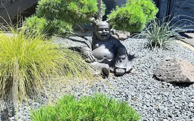 Timbers INN and Suites