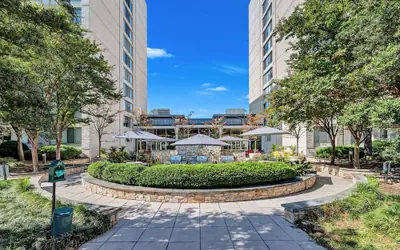 Bright Comfort in DC Apts