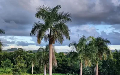 Tierra Adentro Bed & Breakfast