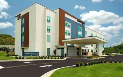 Springhill Suites By Marriott Ellijay