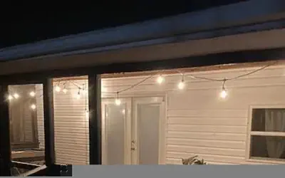 Modern Style Peaceful Tranquility Pet Friendly