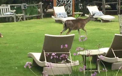 Andril Fireplace Cottages