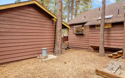 Sugar Bear Pines #2493