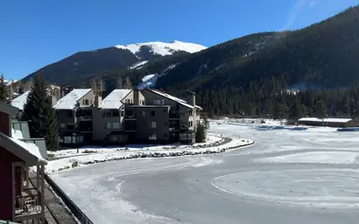 Beautiful Renovated 1br Lakeside Condo 1 Bedroom Condo