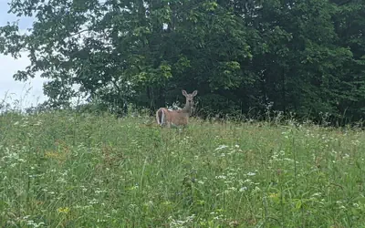 The Inn at Beulah Farm - The Barn