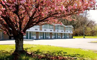 Colony House Motor Lodge