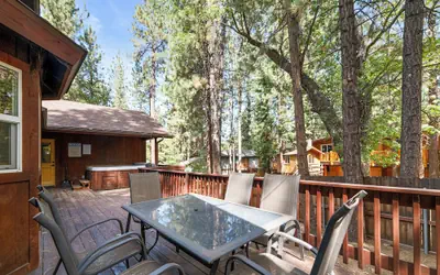 Arctic Wolf at Summit Base