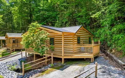 2bdrm Cabin 3 Gburg Pet-friendly Firepit Games