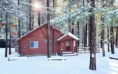 Catalina Creekside Cabin