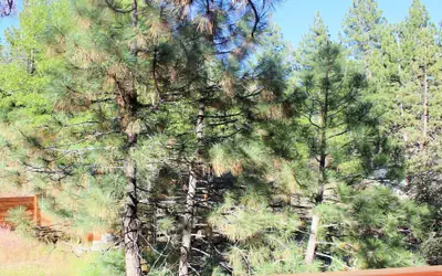 Hot Tub-Game Tables Aspen Glen