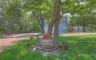Cactus Flower Lodge-20 min to Downtown-starlit Sky Views