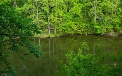 Lakefront-nestled in Nirvana