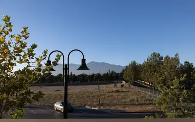 Near ONT Modern Designer Stay Bright Chic Spacious