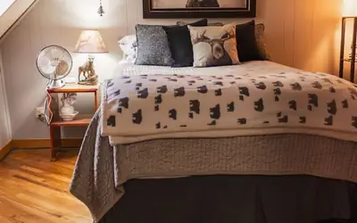 Moose Room Rustic Colorado Lodge Escape