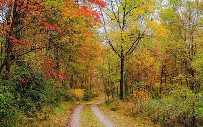 The 312 House A Boho Retreat Hocking Hills
