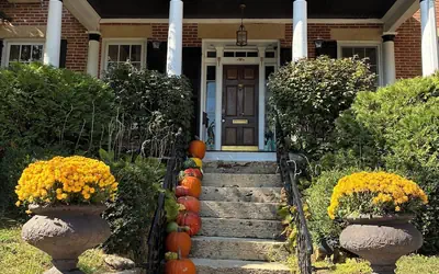 Miss Murphy's Bed and Breakfast