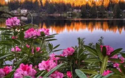 Cottage Lake Bed and Breakfast