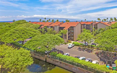 Kaanapali Shores Studio 642 Studio Bedroom Condo by RedAwning