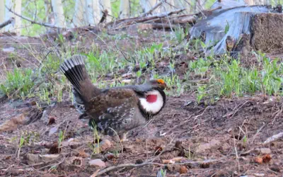 Mein Haus Bed & Breakfast