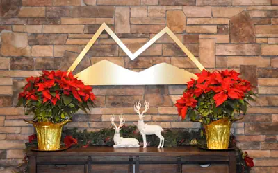 The Lodge at Flat Rock