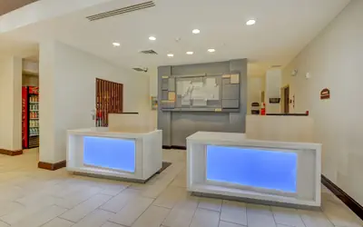 Holiday Inn Express & Suites Tampa USF Busch Gardens by IHG