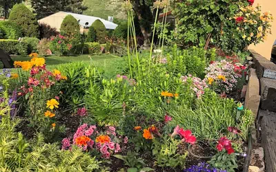 Glenwood Springs Cedar Lodge