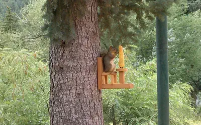 The Green Mountain Falls Lodge