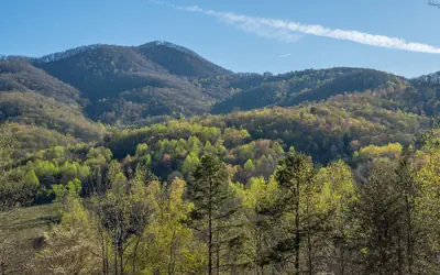 Engadine Inn & Cabins